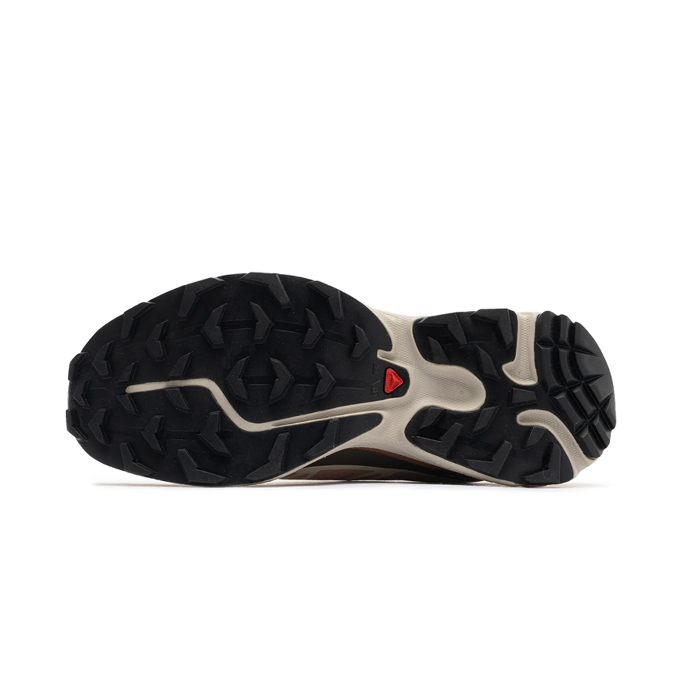 Salomon XT-6